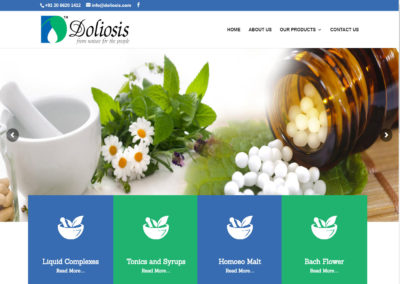 Web Design And Development Project Doliosis