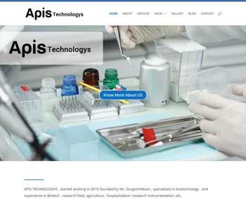 Web Design And Development project apistechnologys