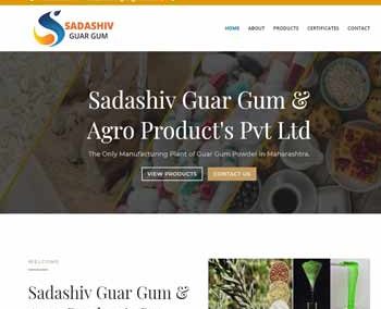 Web Design And Development project Sadashiv Guar Gum & Agro Product?s Pvt Ltd