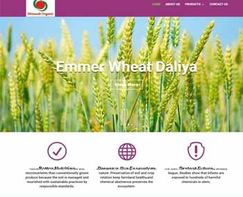 Web Design And Development project shivanshorganic